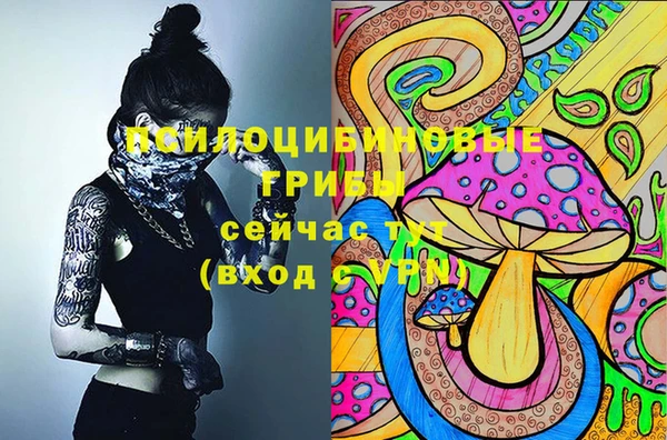 дмт Зеленодольск