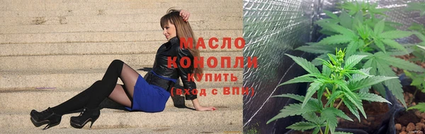 дмт Зеленодольск